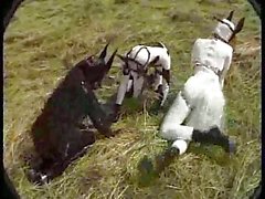 Ponybabes walking in the park