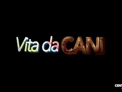 Vita da cani ( CXD01336 )