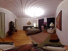 VR Porn The hot house maid