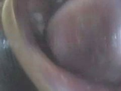 Hot Brunette Blowjob POV