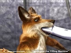 Yiff Machine Anime