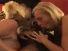 Blonde reifen harten fuck mit bbc auf einem Bett so laut