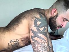 Hairy bear flip flop with cumshot