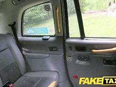 Драйверу FakeTaxi повезло на сайте собаководства