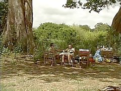 Perkipoltettua magnesiumoksidia - Safarissa puisto